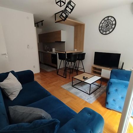 Appartement Cvetkovic Lux Аpartmani & Free Garaza à Vrnjačka Banja Extérieur photo